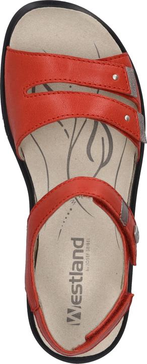 Actual product image Westland 25902-644 (41)