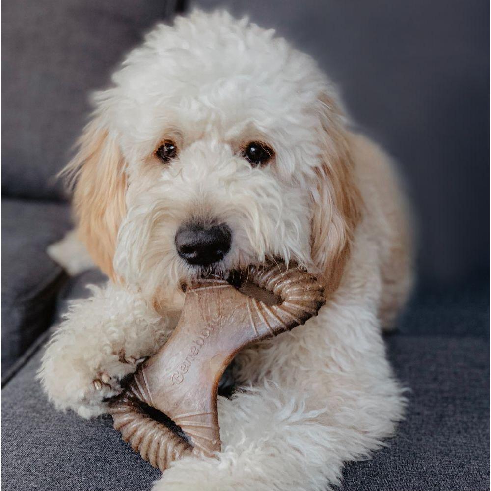 Thumbnail - Benebone Dental Chew Bacon M 19cm - (85411100407) (Kauspielzeug), Hundespielzeug