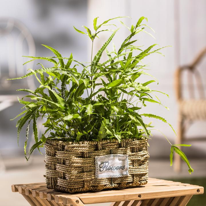 Actual product image GuGus Square Planter 25 cm, Nature (25 x 25 x 12 cm)