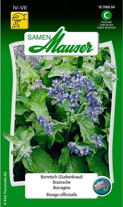 Samen Mauser Borragine Cetriolo erba (Semi di verdura)