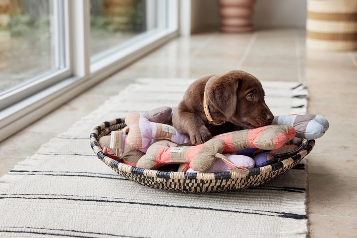 Immagine prodotto Oyoy ZOO - Giocattolo per cani Ashi Grande - Rosso/Marrone (Z60070) (Cane di peluche)