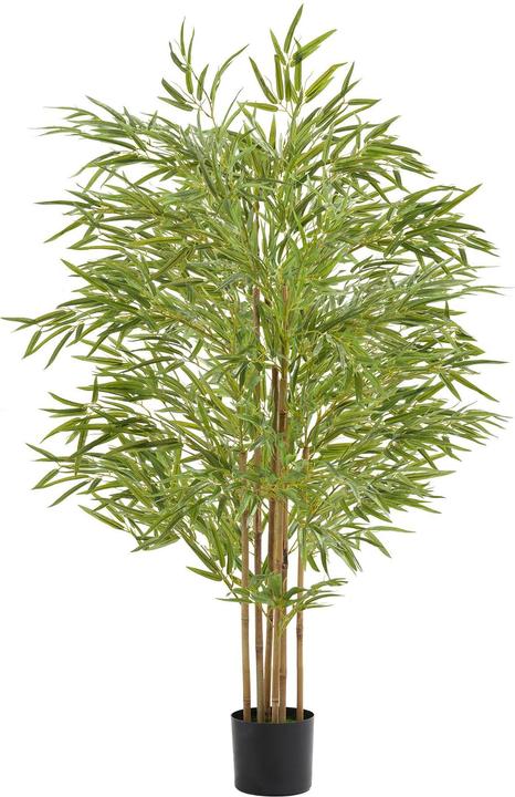 Produktbild tectake Bambusbaum Bambosa (150 cm)