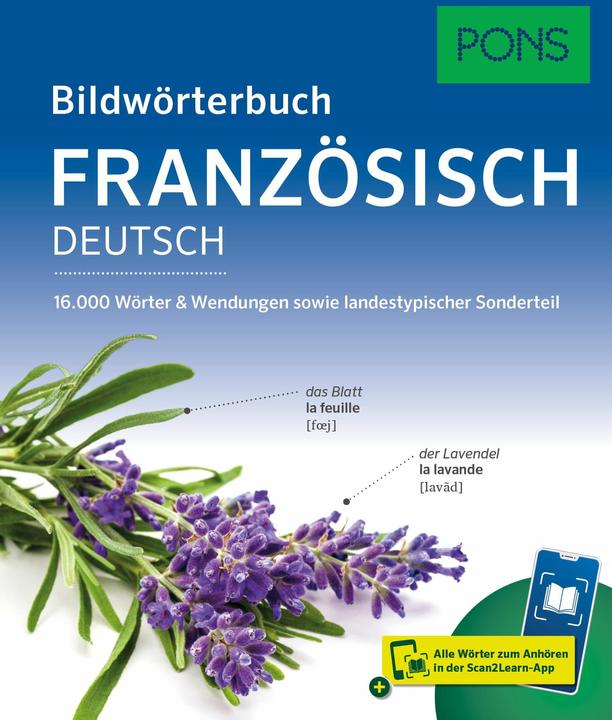 Actual product image Bildwörterbuch Französisch (French, German, 2025)