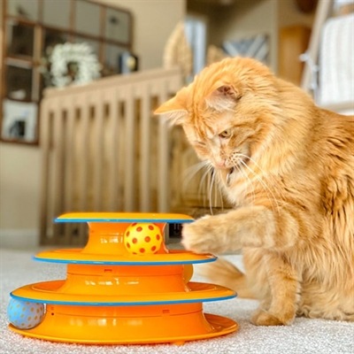 Actual product image Petstages Cat Toy Tower of Tracks (Catmint toy)
