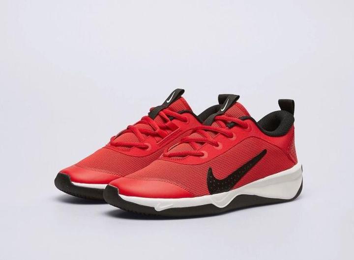 Actual product image Nike Kid's Omni Multi-Court (38)