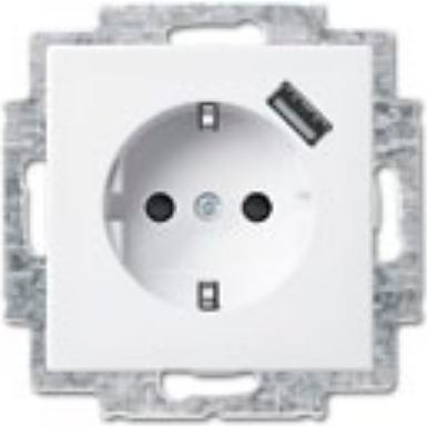 Actual product image Busch-Jaeger SCHUKO/USB plug-in socket. 20EUCBUSB-914