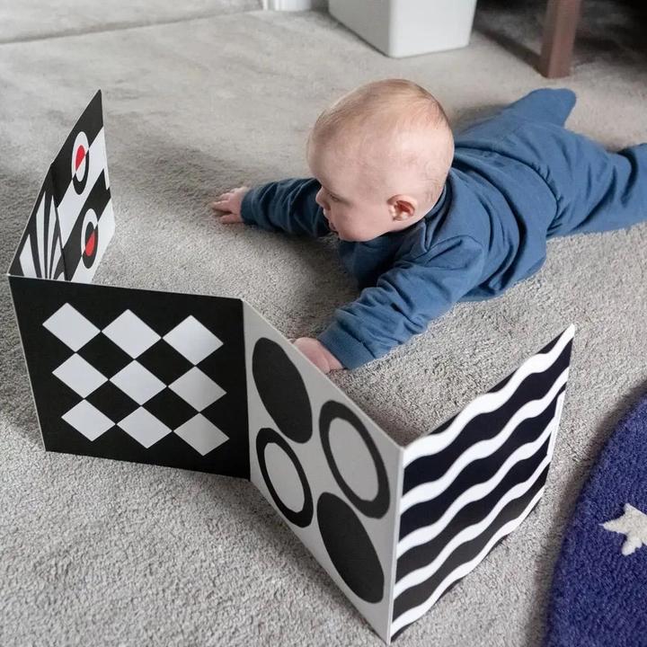 Immagine prodotto Priya & Peanut Reversible Black & White Sensory Board for Newborns – Tummy Time Toy 0+ Months