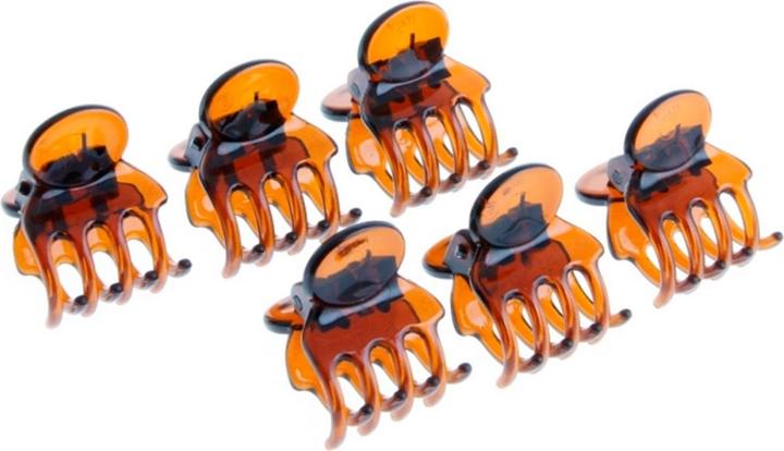Image du produit DailyGo Hairgrip (6 pcs)