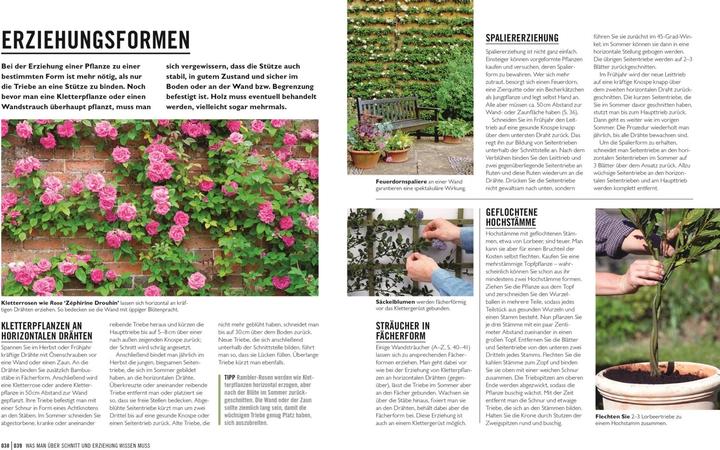 Produktbild Grünes Gartenwissen. Pflanzen richtig schneiden (Deutsch, Reinhard Ferstl, Stephanie Mahon, 2022)