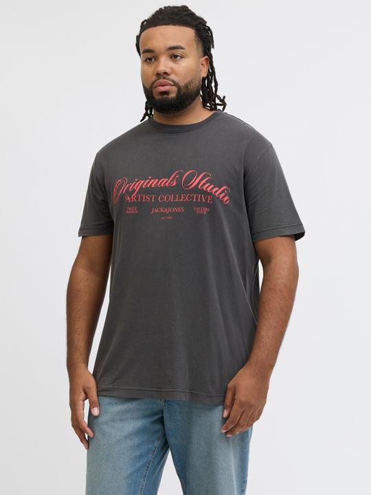 Image du produit Jack & Jones Plus Size T-shirt T-shirt (3XL)