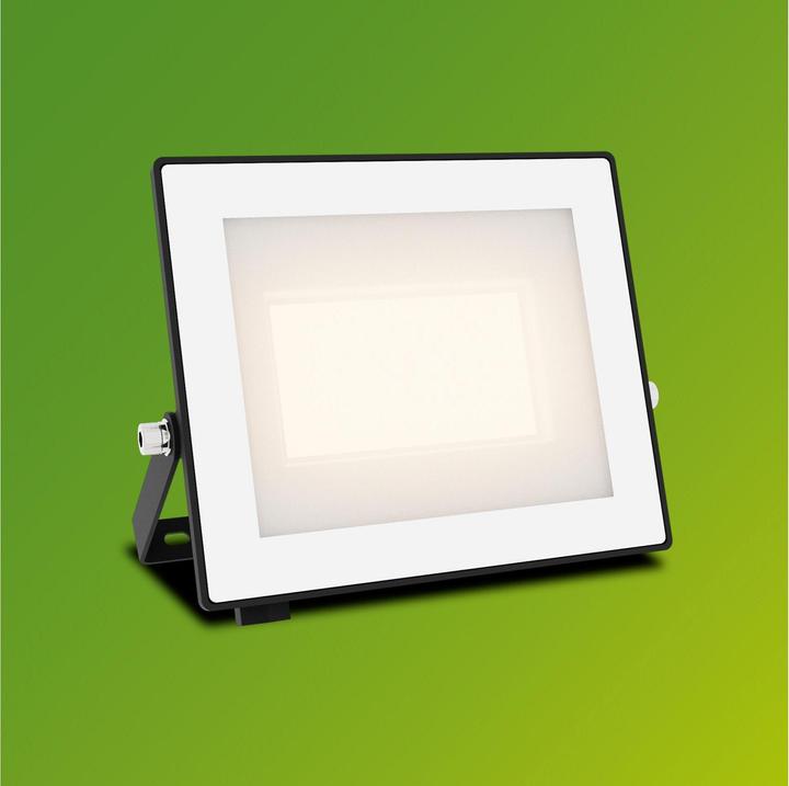 Actual product image Philips Outdoor Flutlicht Lois (3200 lm, IP65)