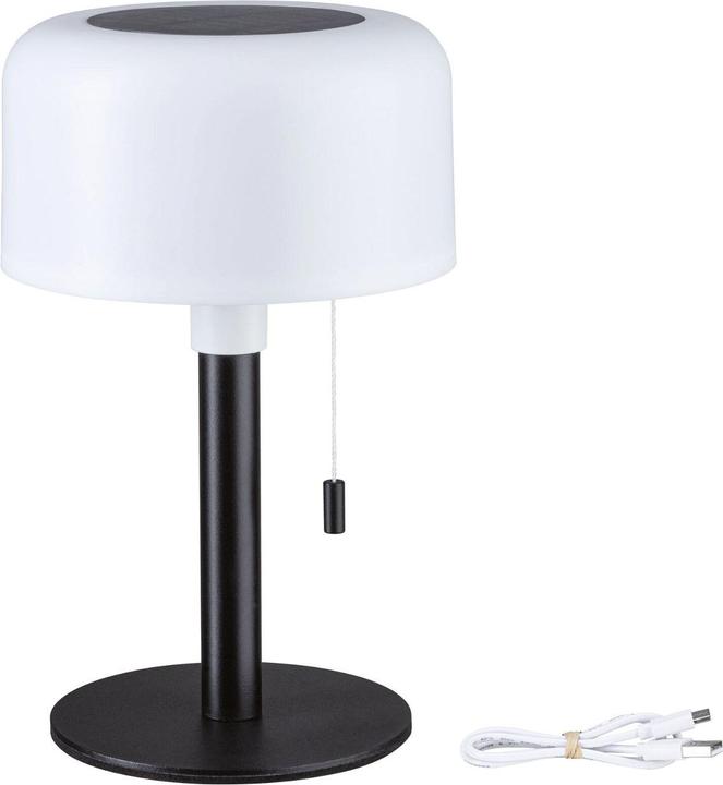 Image du produit Paulmann Bartja (160 lm, IP44)
