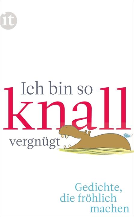 Produktbild Ich bin so knallvergnügt (Deutsch, Clara Paul, 2015)