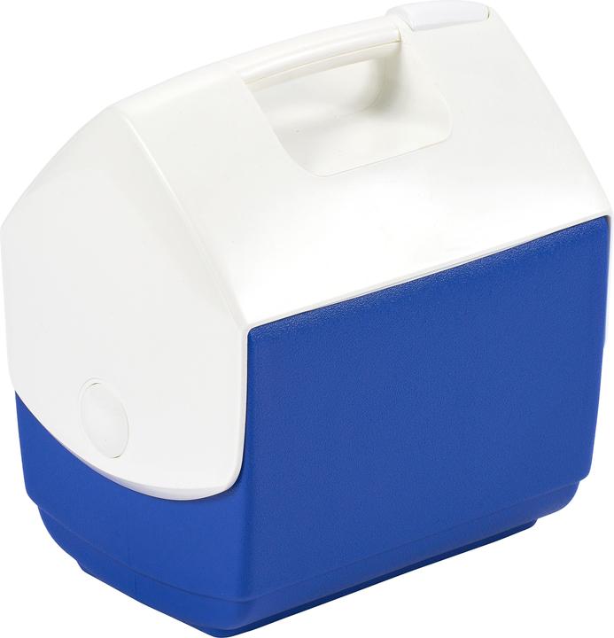 Actual product image Igloo small caregiver ice box (6 l)