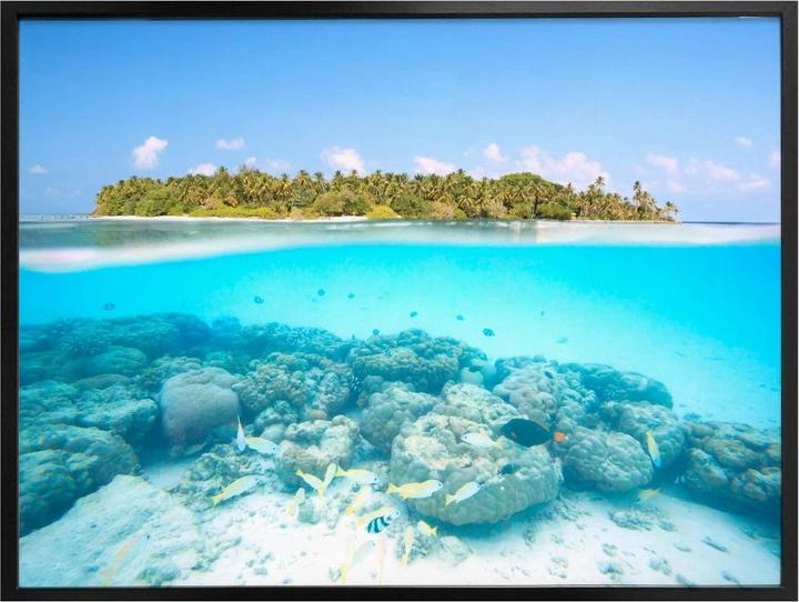 Immagine prodotto Trenddeko Mondo sottomarino delle Maldive (120 x 100 cm)
