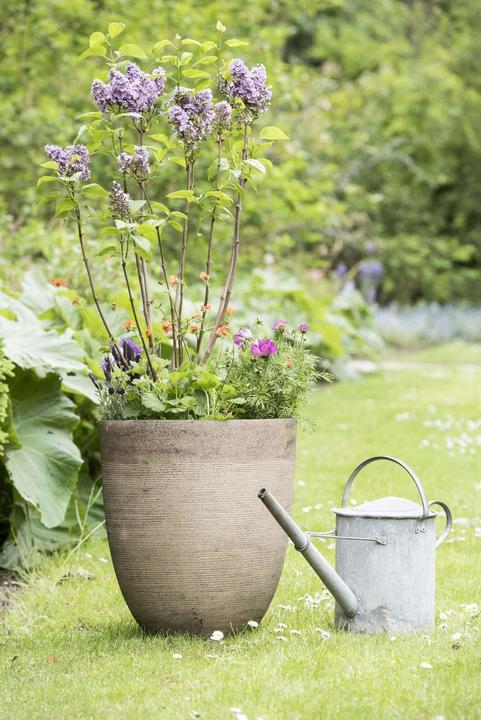 Produktbild Mica Decorations Echo (45 cm)