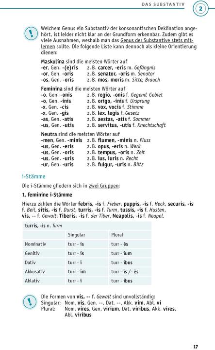 Actual product image Grammatik kurz & bündig Latein (German, Latin, 2023)