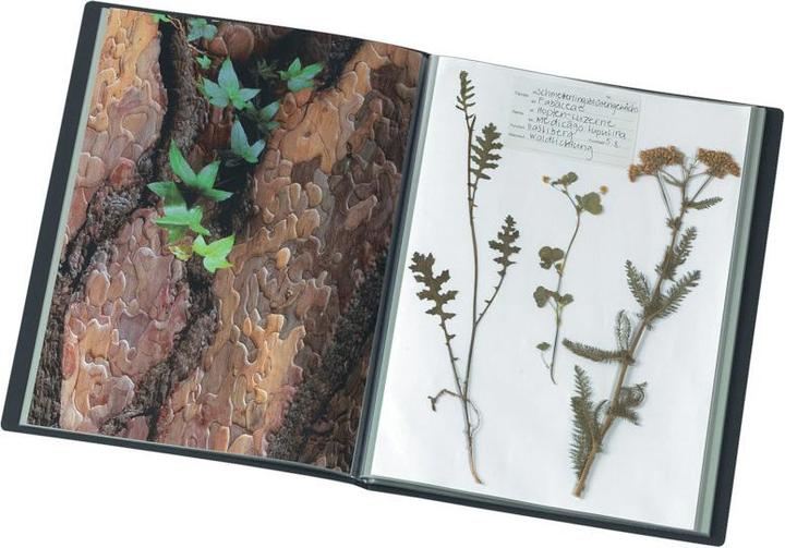 Immagine prodotto Kolma Selezione libro riciclato A4 con 20 tasche nero (A4, 40 x)