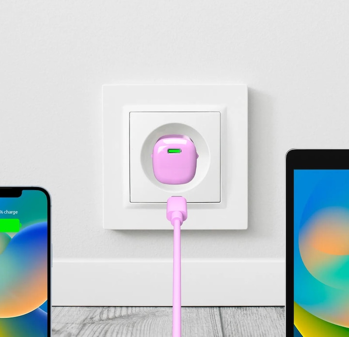 Actual product image Puro Charger (20 W)