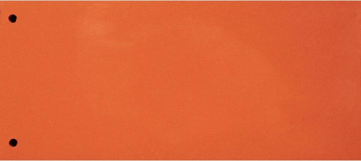 Actual product image Exacompta Separating strips