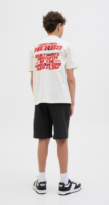 Image du produit Jack & Jones Jogger Fit Relaxed Fit Shorts Junior Relaxed Fit Shorts (164)