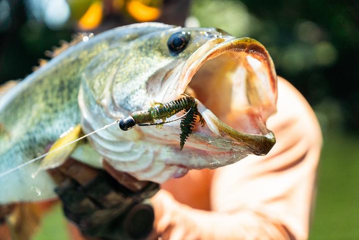 Immagine prodotto Savage Gear Ned Salamander (7.50 cm)