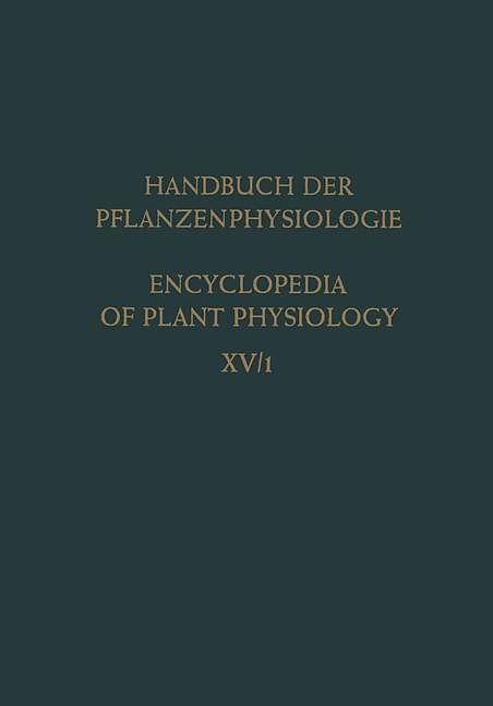 Produktbild Differentiation and Development / Differenzierung und Entwicklung (Deutsch, 1965)