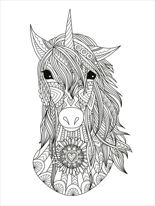 Actual product image My Mandala Animal Colouring Book - Magical Magic Animals