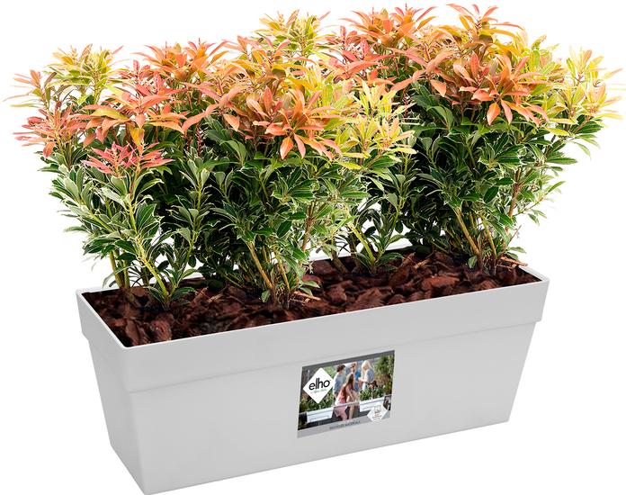 Image du produit Elho Loft Urbain (17 cm)