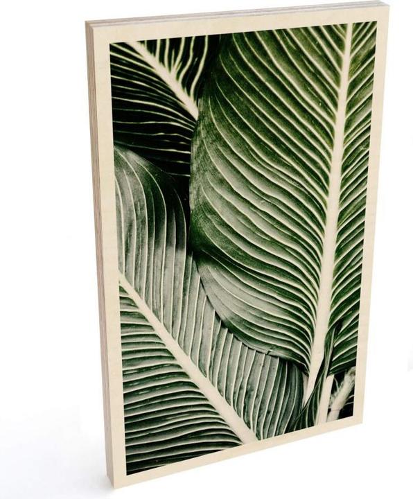 Image du produit Trenddeko Feuilles de palmier (20 x 30 cm)