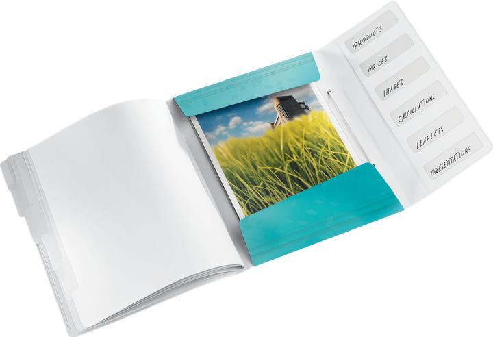 Produktbild Leitz WOW - Ordner mit Abteilungen (A4, 1x)