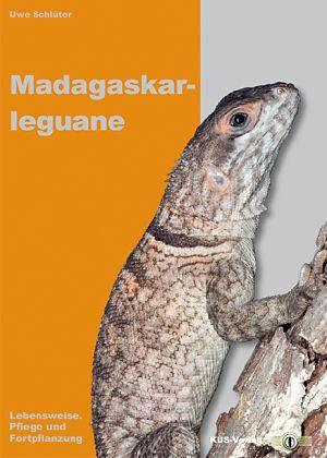 Iguane del Madagascar