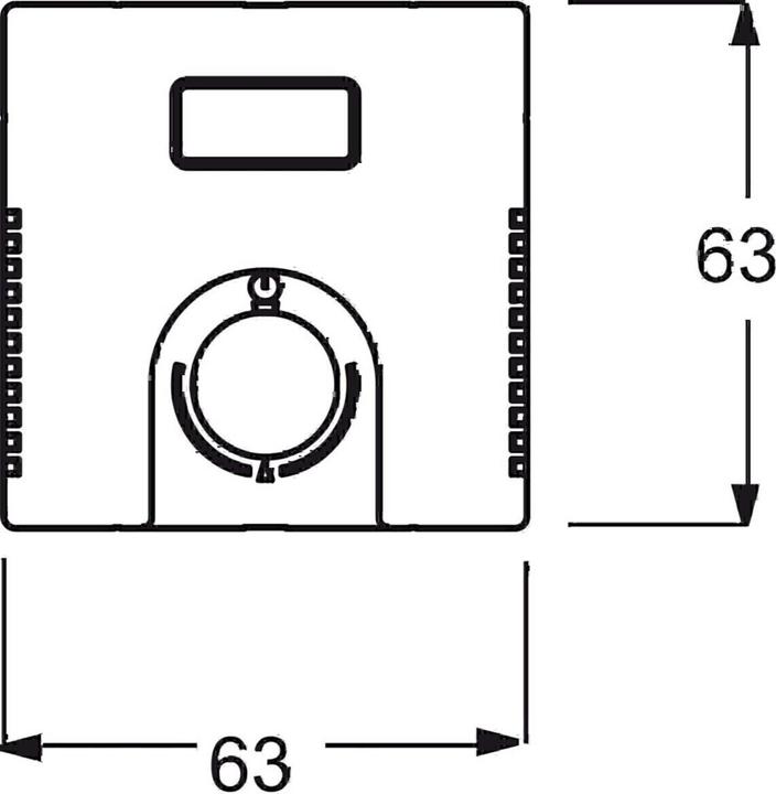 Actual product image Busch-Jaeger Central disk