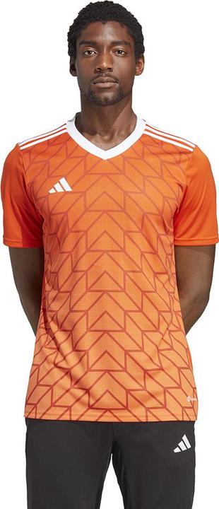 Produktbild adidas Team Icon 23 Trikot (XS)