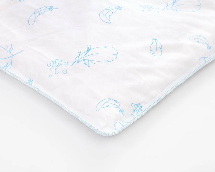 Actual product image Julius Zöllner Duvet quilt, down (80x80 cm) (80 x 80 cm)