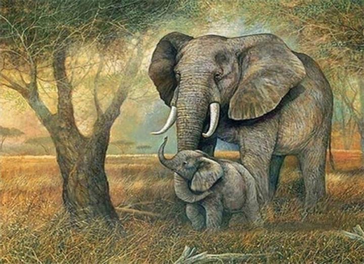 Image du produit Magni Diamond Painting Eléphants 40x30cm