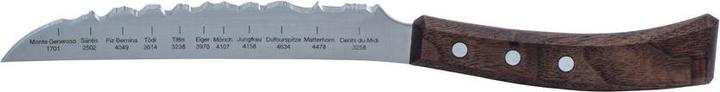 Panorama Knife Universalmesser SWITZERLAND (15 cm)