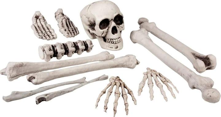 Produktbild Boland Skelettteile Set