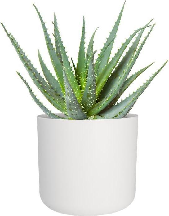 Produktbild Elho B.for soft (34.50 x 32.30 cm)