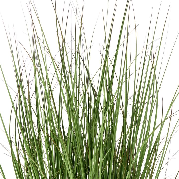 Image du produit Beliani Grass (120 cm)