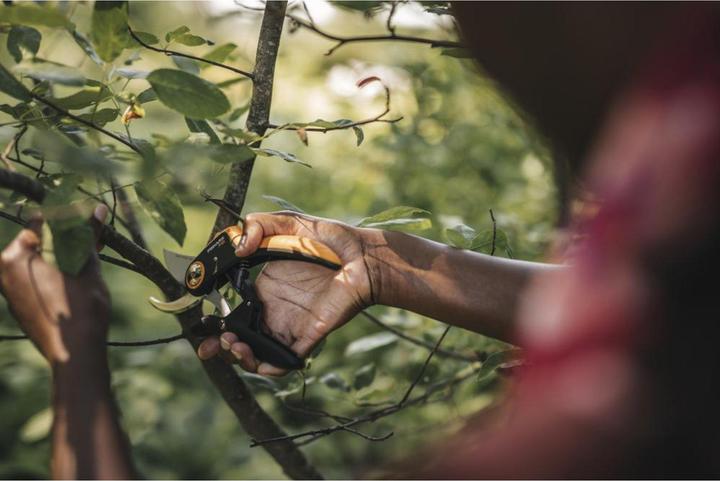 Image du produit Fiskars Plus PowerLever Bypass Secateurs P721