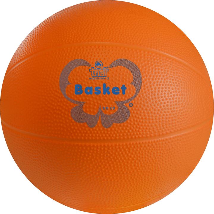 Immagine prodotto Trial Pallacanestro BB 60 (2)