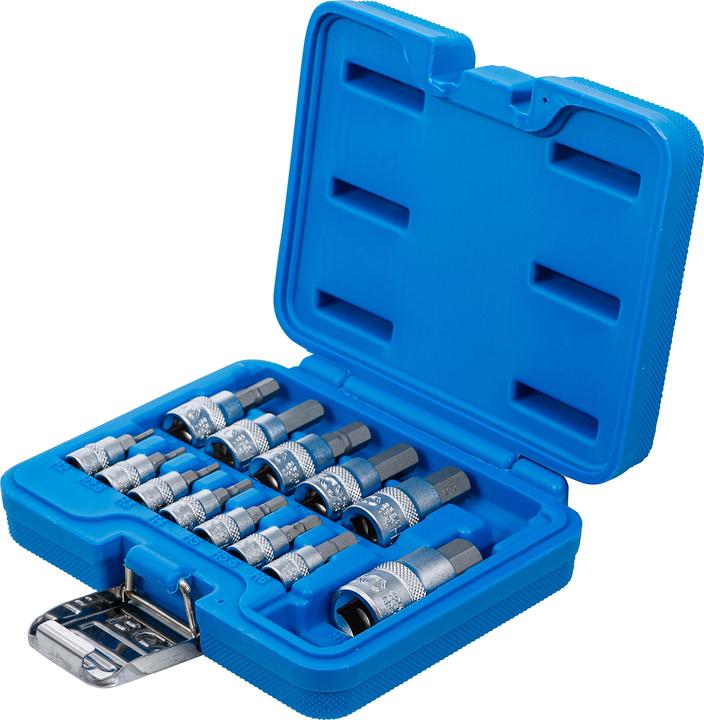 Productafbeelding BGS Bits insert set (6 mm, 5,5 mm, 7 mm, 3 mm, 5 mm, 10 mm (binnenzeskant), 10mm, 8 mm, 2,5 mm, 9 mm, 2 mm, 12,0 mm, 4 mm)