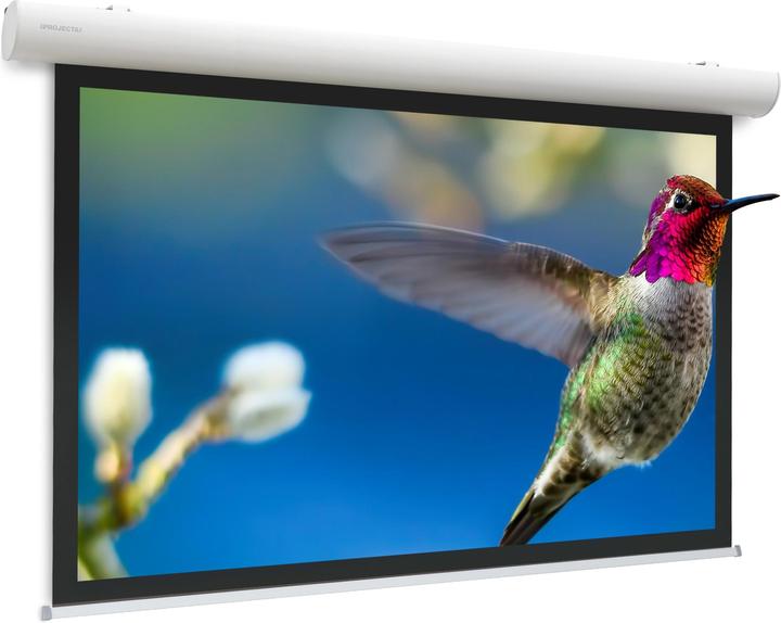Produktbild Projecta Elpro Concept RF 196x340 HC 16:9 (149", 16:9)