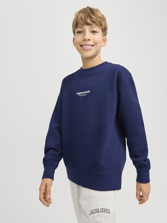 Image du produit Jack & Jones Jorvesterbro Sweat Crew Neck Noos Jnr (152)