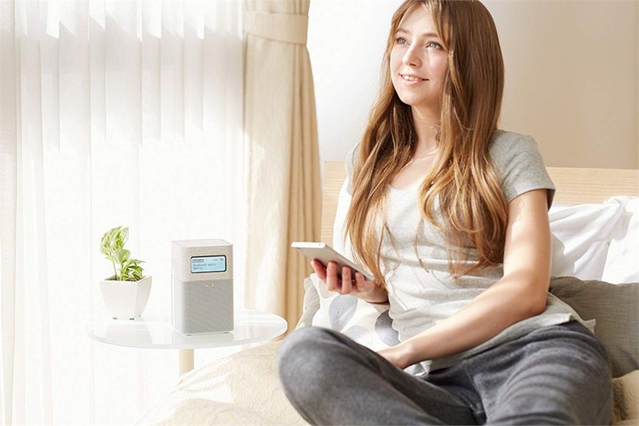 Image du produit Sony Xdr-V1btd (DAB+ DAB, FM, Bluetooth)