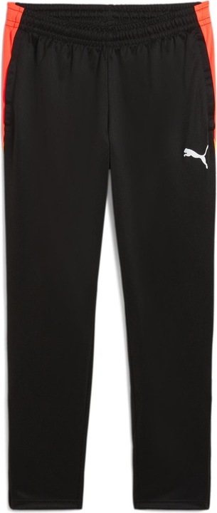 Puma IndividualLIGA Training Pants