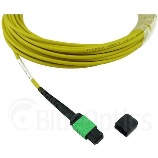 BlueOptics LWL MTP Trunkkabel Singlemode 24 Kerne 0.5 Meter Typ B (0.50 m), Netzwerkkabel