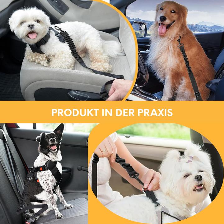 Actual product image Suba Dog seat belt for the car (Dog)