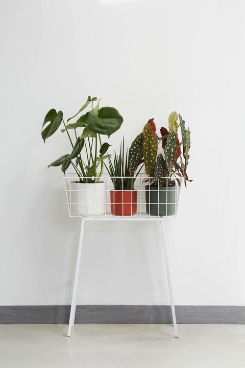 Actual product image Elho b.for soft (13.80 cm)